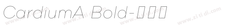 CardiumA Bold字体转换